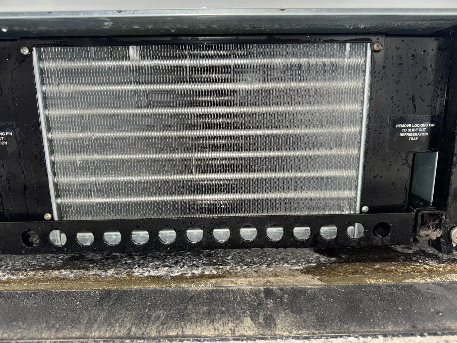 FridgePro evaporator coil after specialist clean — restored fin condition