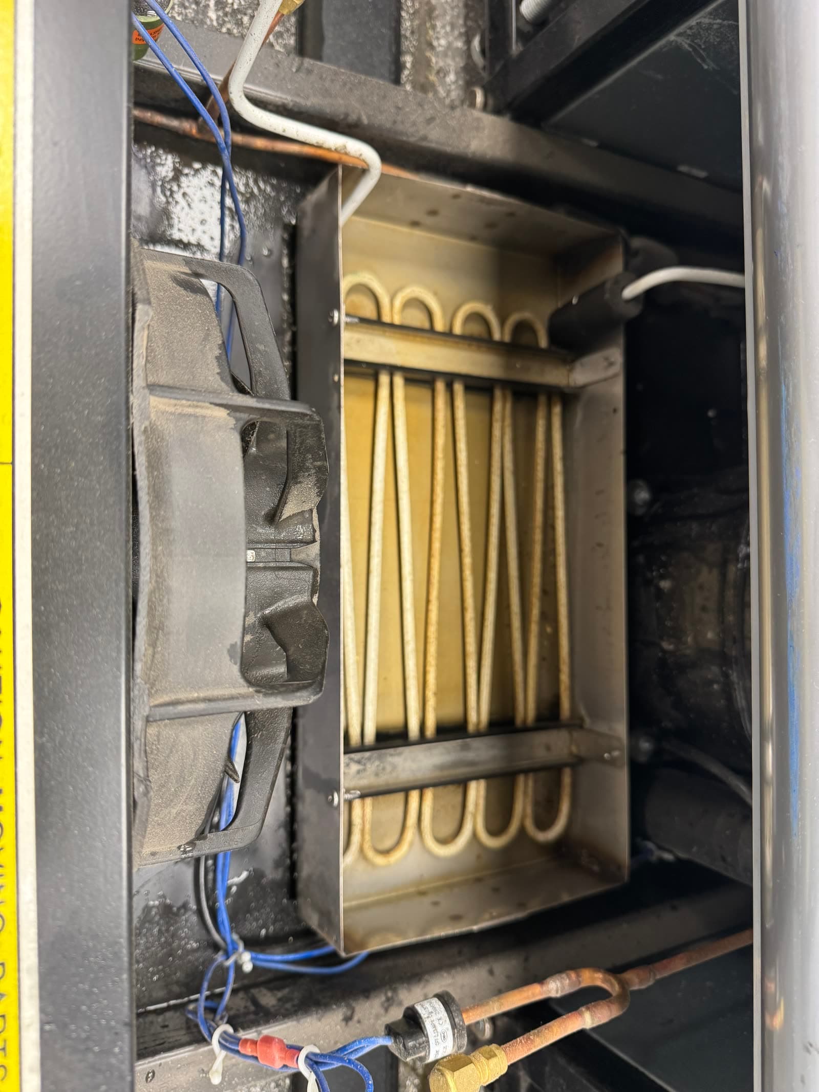 Commercial fridge condensate drainage tray after FridgePro deep clean