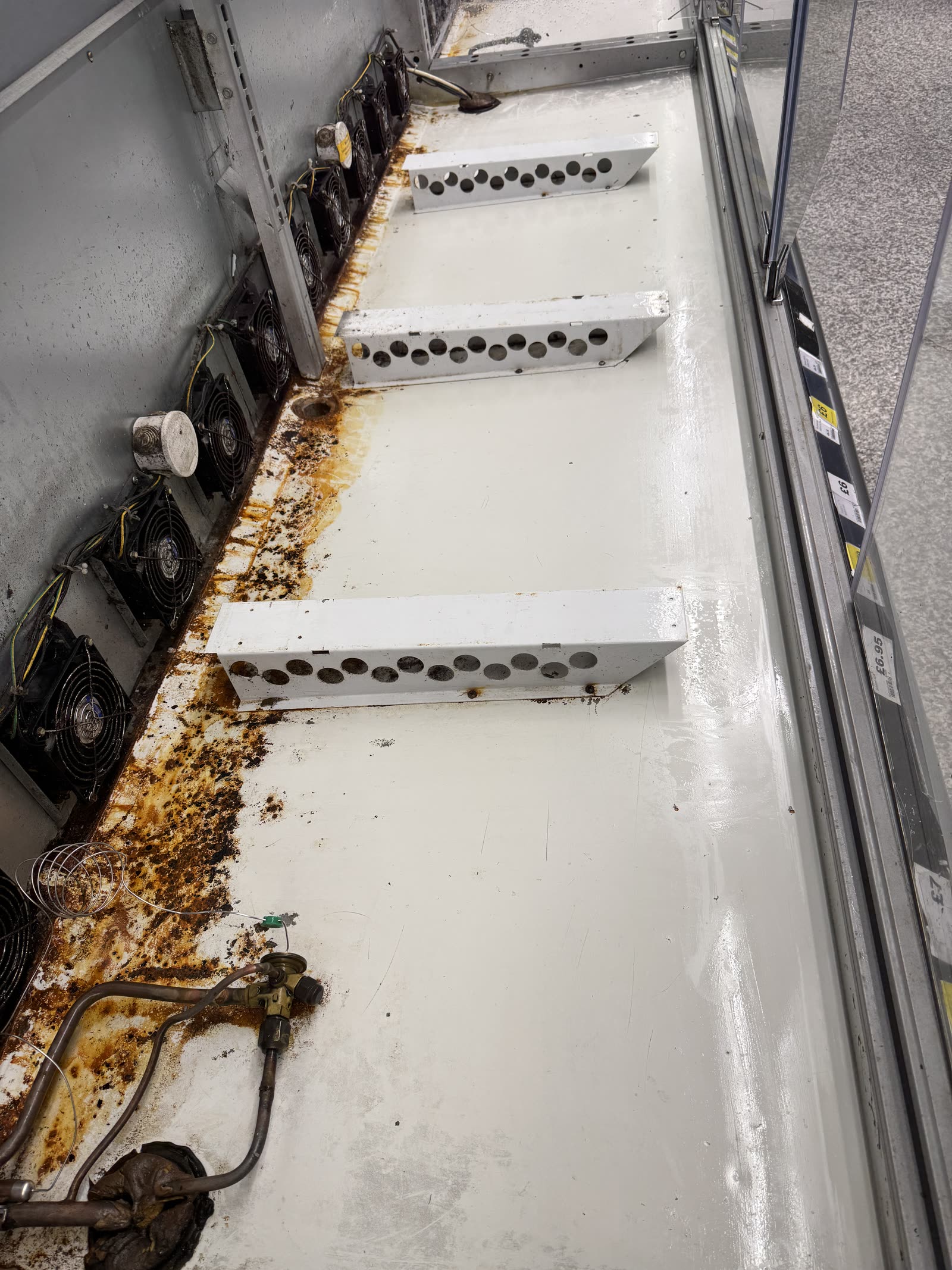 Display fridge baffles — rust and biofilm scrubbed away — before
