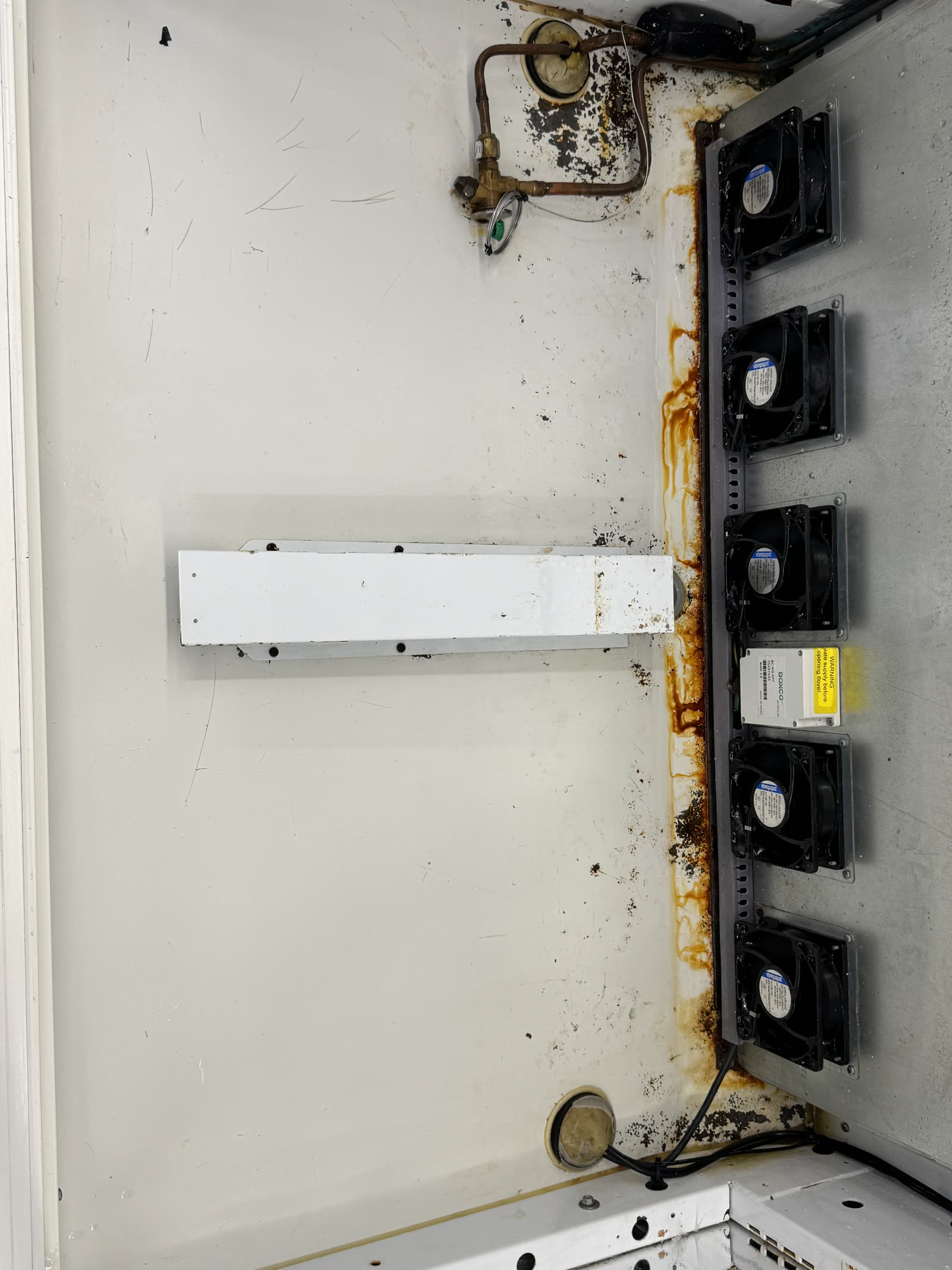 Display fridge back wall — grime, rust and mould cleared — after