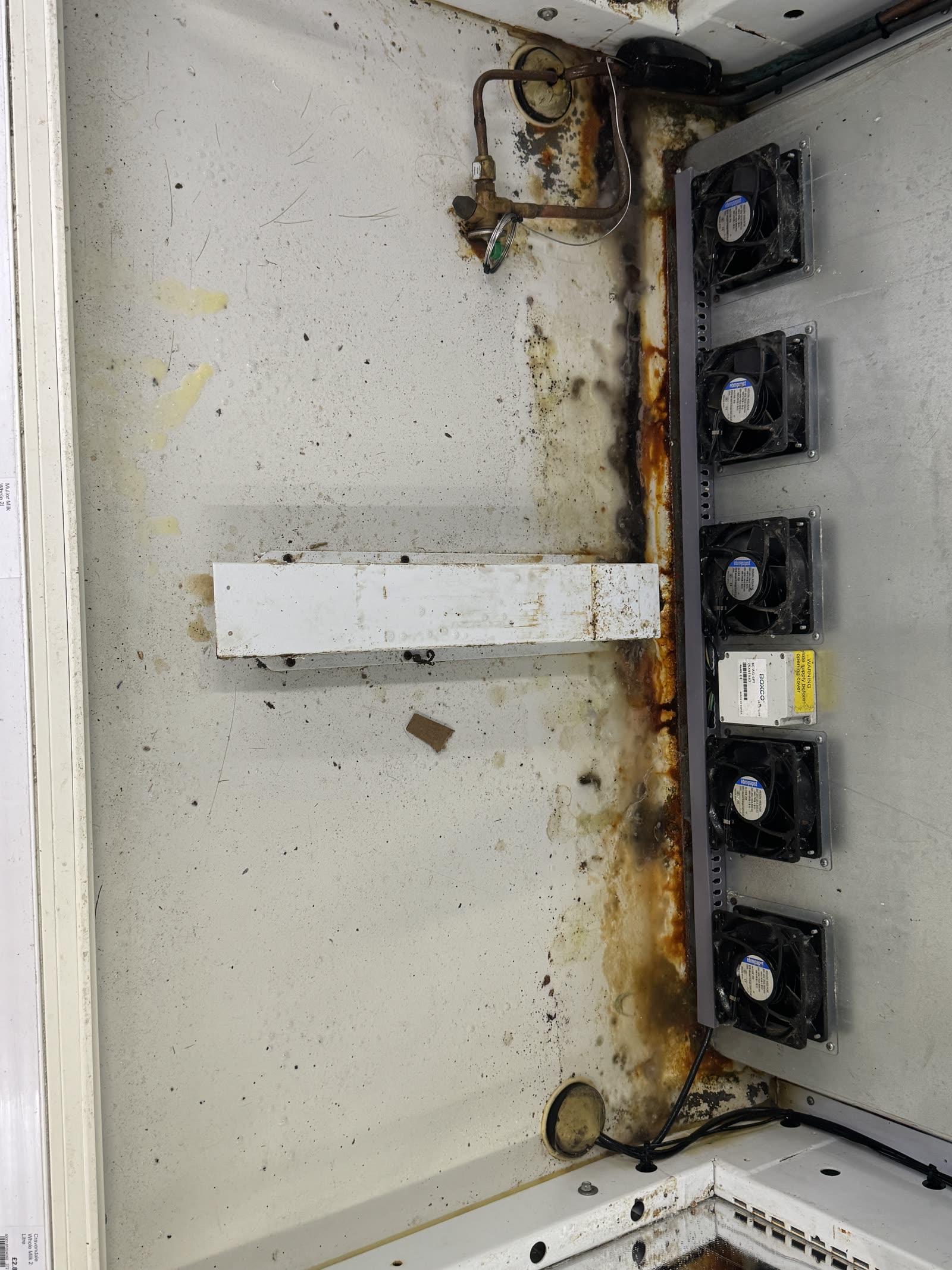Display fridge back wall — grime, rust and mould cleared — before